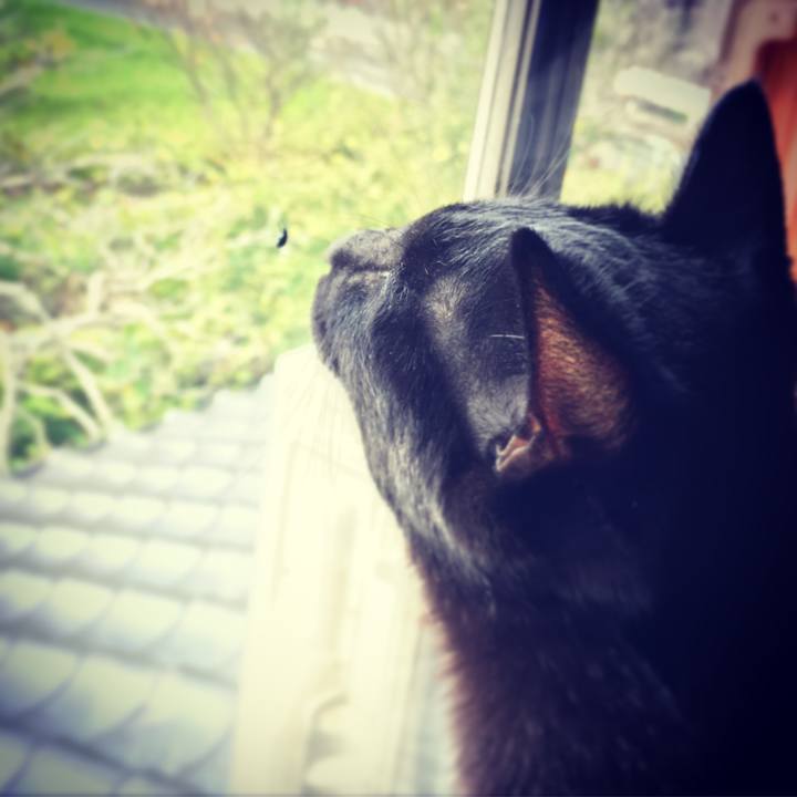 45443f00 af38 4b30 b5ad 1b598aff706d 1507767820416