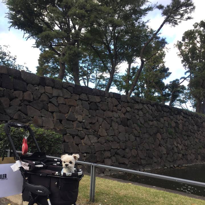 45447642 24f9 4d7c 9d5e 7582602c8c64 1510397599492