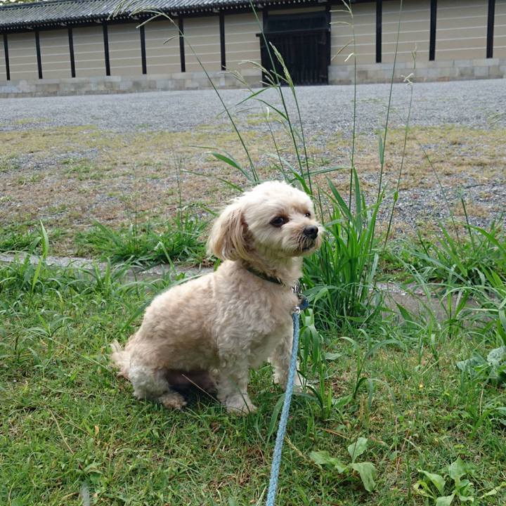 4544a1ad b8e1 47ac bb39 e8f3a0f38cf2 1571125585339