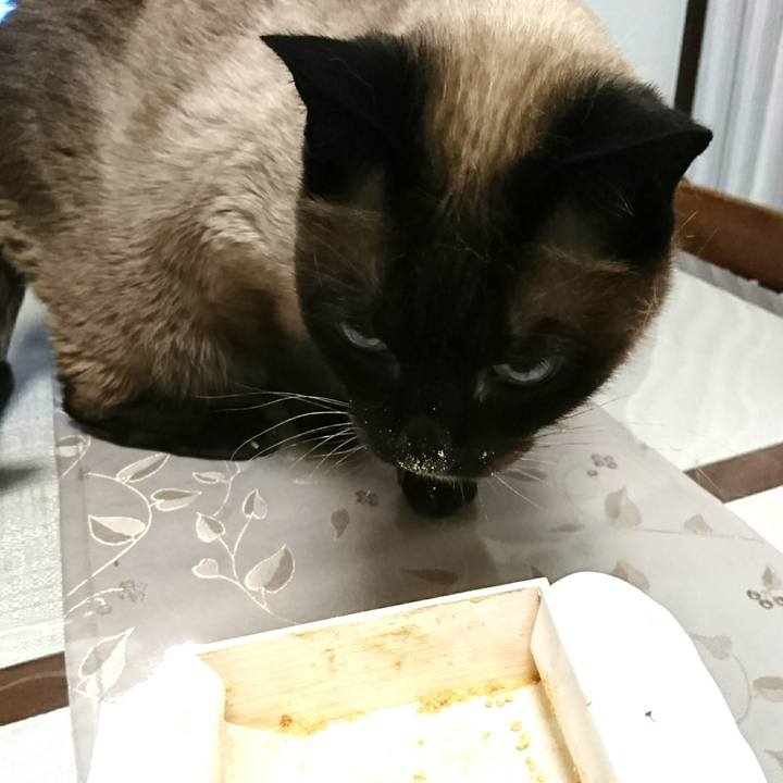 4544e146 0db1 423c 942a 4aa9ec00cb1c 1523101238047