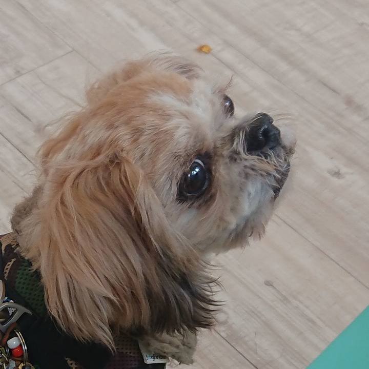 45451aa0 04f1 4f17 ae3b 2f5d611ee502 1540998455164