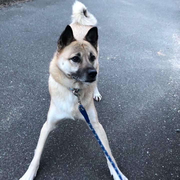 45452e48 4069 4128 b882 08b73ff17f49 1609852346794