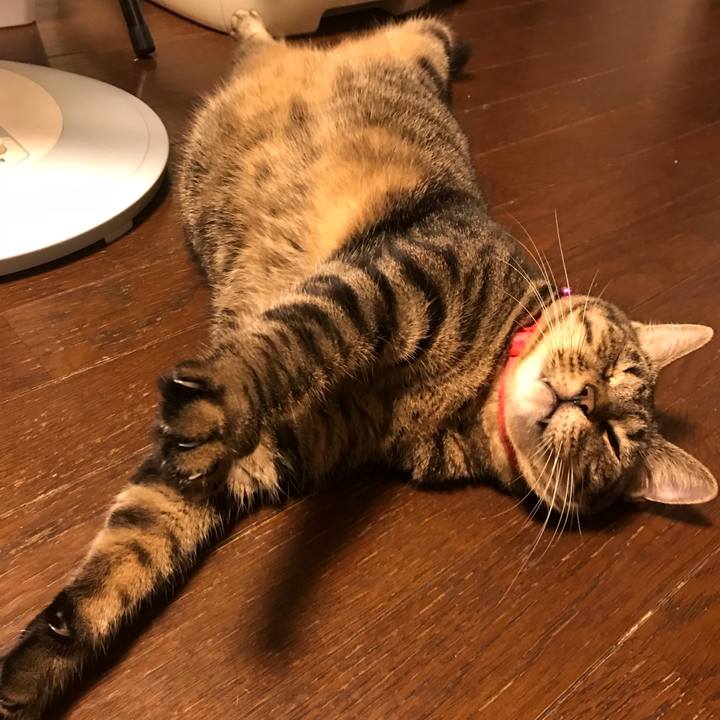 454540c3 4ff4 4546 af7f 67340bd45aa1 1559056316238