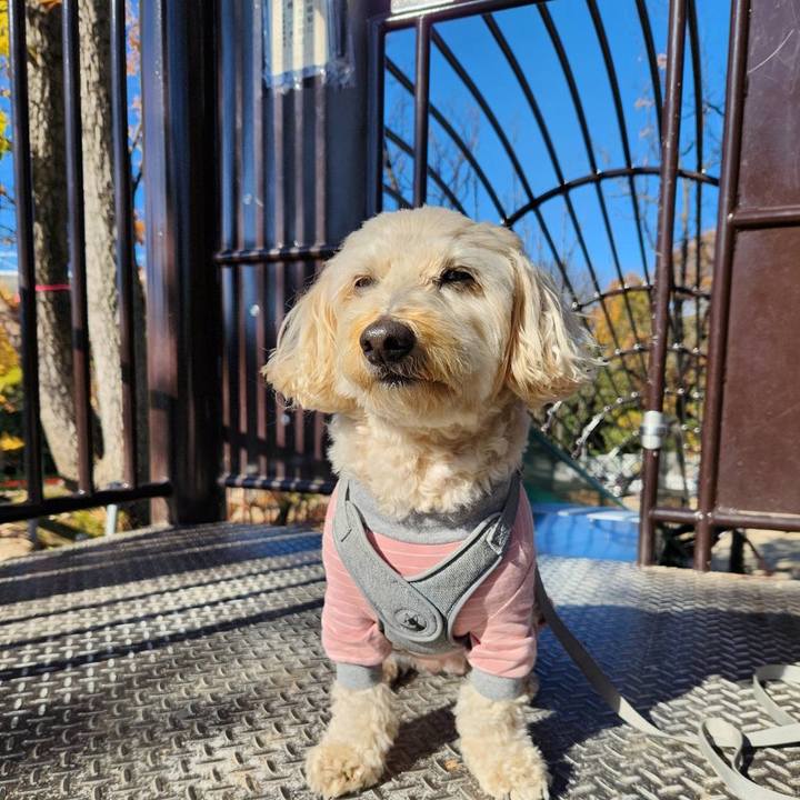 45459e9e 6338 4aac b899 8e30f26d7876 1765247347035