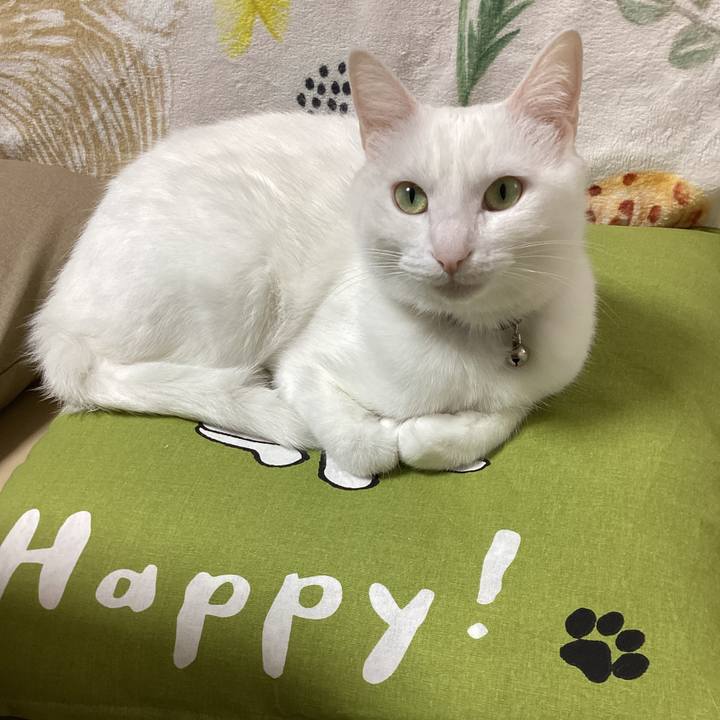 4545d907 13fc 4ede b94d 067147b152a6 1679008001227