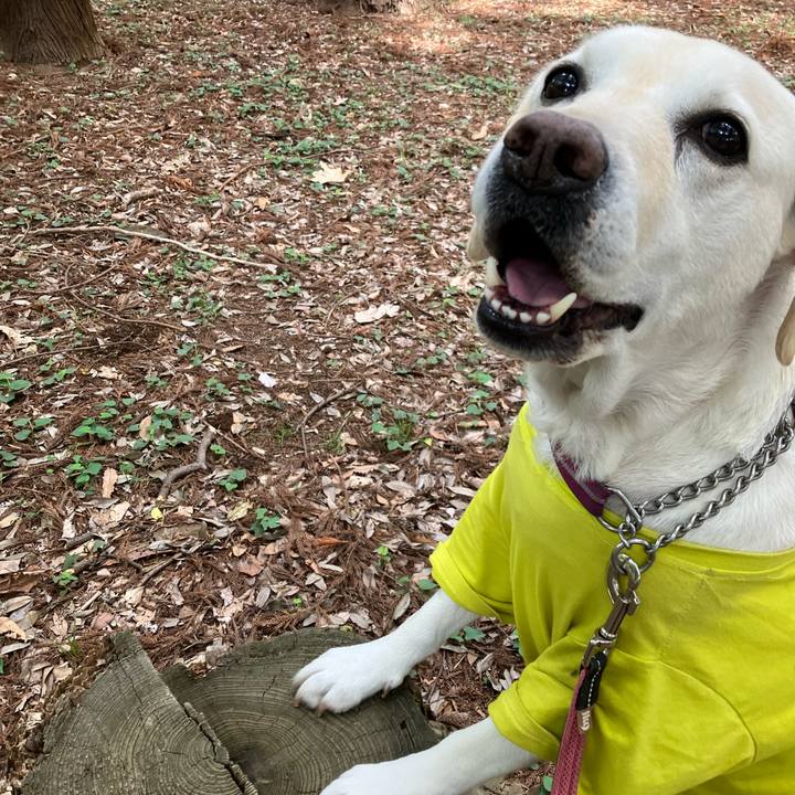 4545e34b 7413 4aee b3a7 fa7d66af31a3 1685082398003