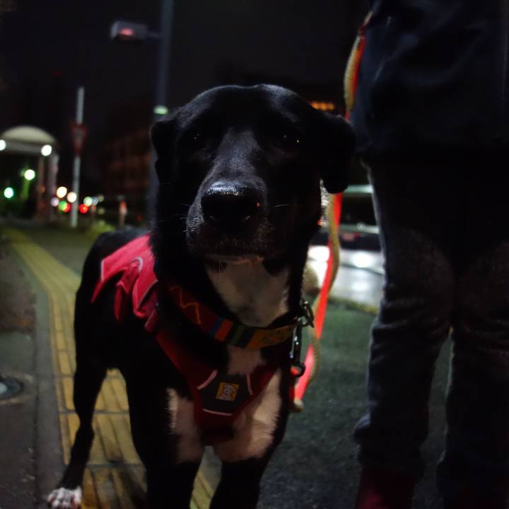 45460470 e3a2 4456 aa75 99ce27272480 1583671798074