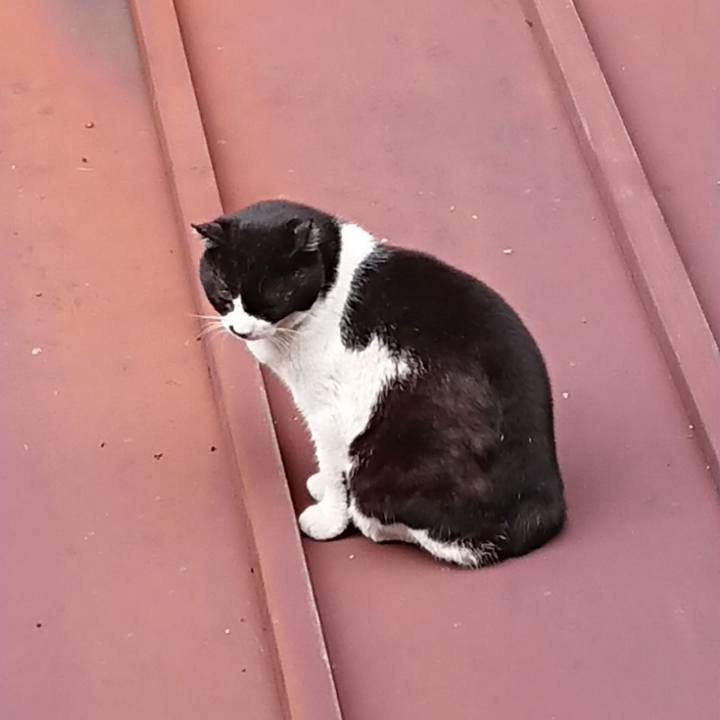 454635ed 0292 4344 bb27 95b8b0e6f45a 1647668199977