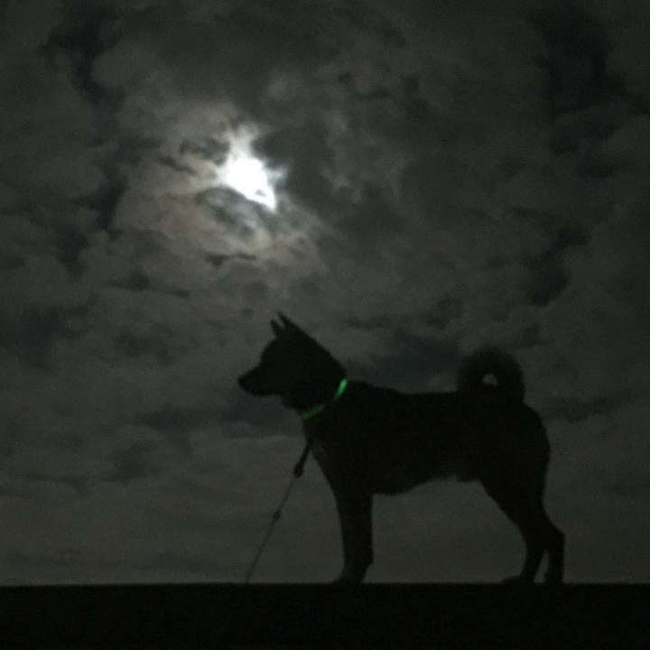 45466ad0 66a1 4a63 a367 2ed63f6a2a43 1548195860562