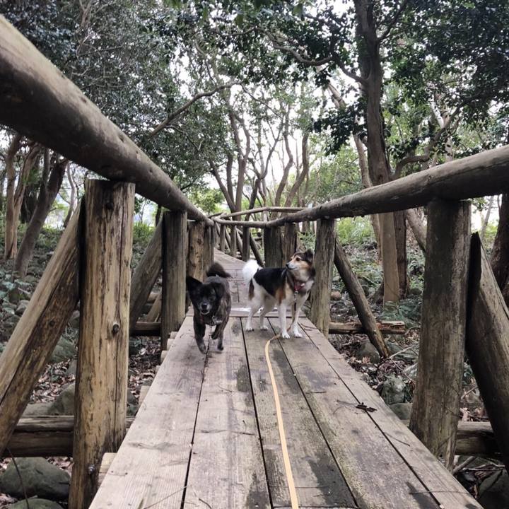 4546a039 21de 415e ade3 0412544b4d99 1519996571546