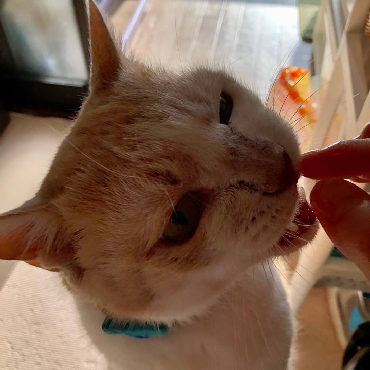 4546baa8 cabe 404e b225 df36a0fb9770 1630881132663