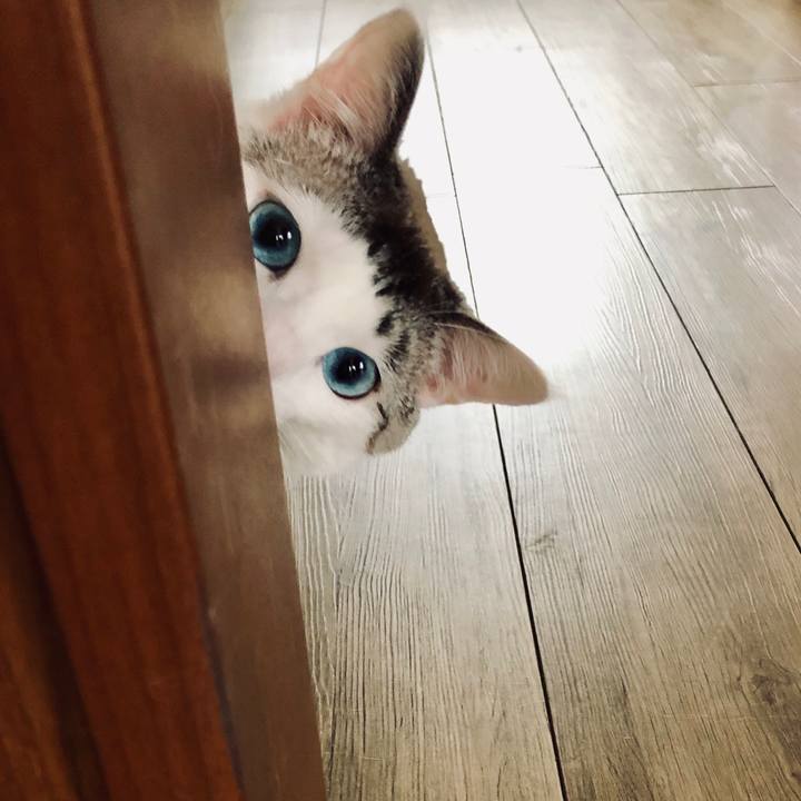 4546c476 bfb9 4fe8 9e8d 0ed546e1cd8e 1589683953717