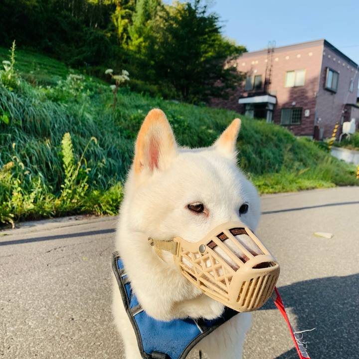 4546cee6 d783 4dcb a6bb 02540e8b39f8 1631744606162