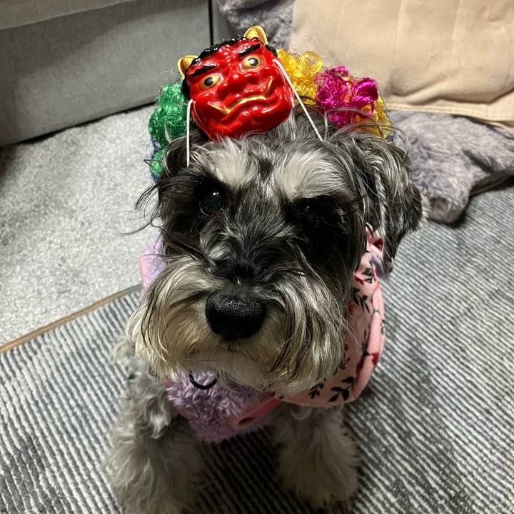 4546dbdb b860 494b ac2d e511e1ccd726 1770129854757