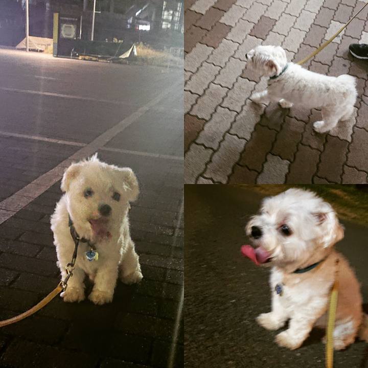 4546f325 3de3 49b3 8541 ac99074e3bfa 1532434753427