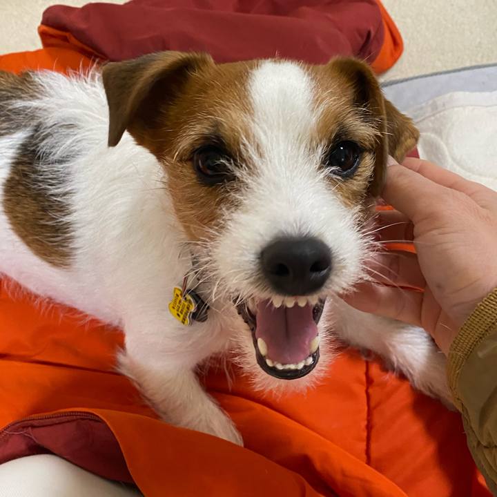 4547001c fcf0 457e 99fe 01d9b4c169f9 1765063743854