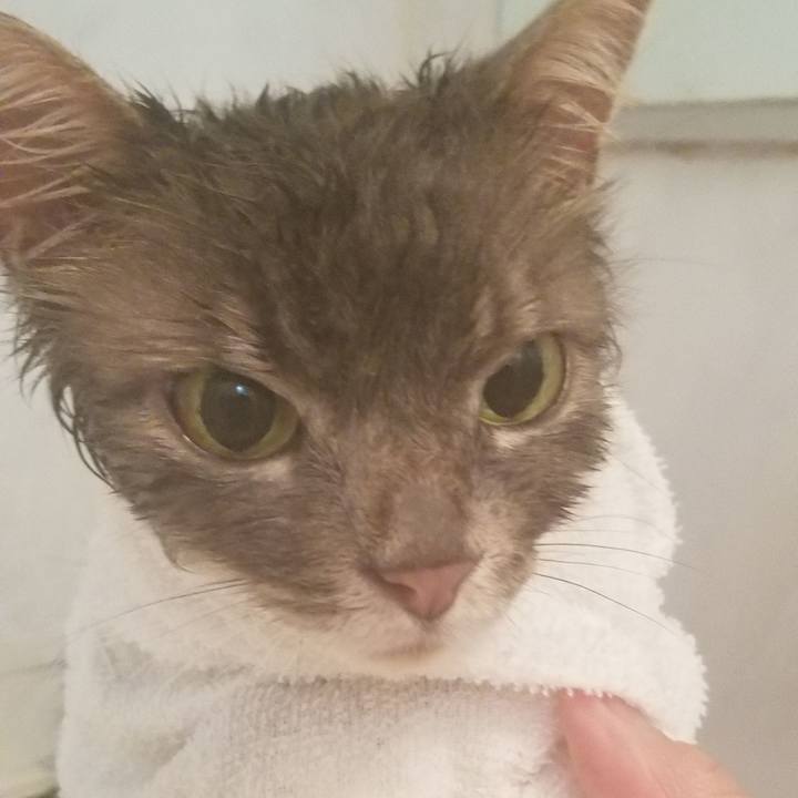 45470d51 c396 41b8 b9f5 d88c6597bd29 1557013561359