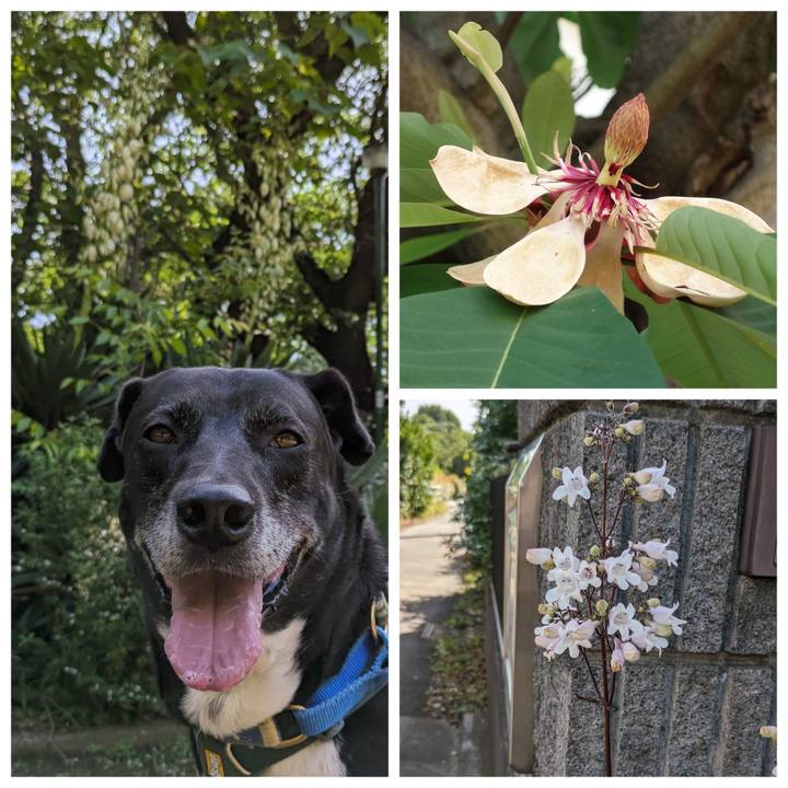 4547383a fe36 4ae7 a7a3 30117f054225 1715733811488