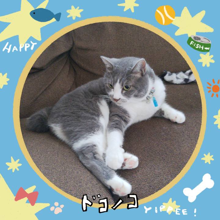 45475b89 3e89 4609 970c bea361a71787 1720757455474