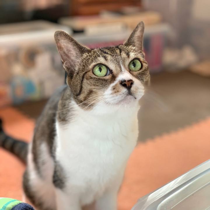 45476545 ffd9 4a12 a137 9a6de8885ff1 1570238599365