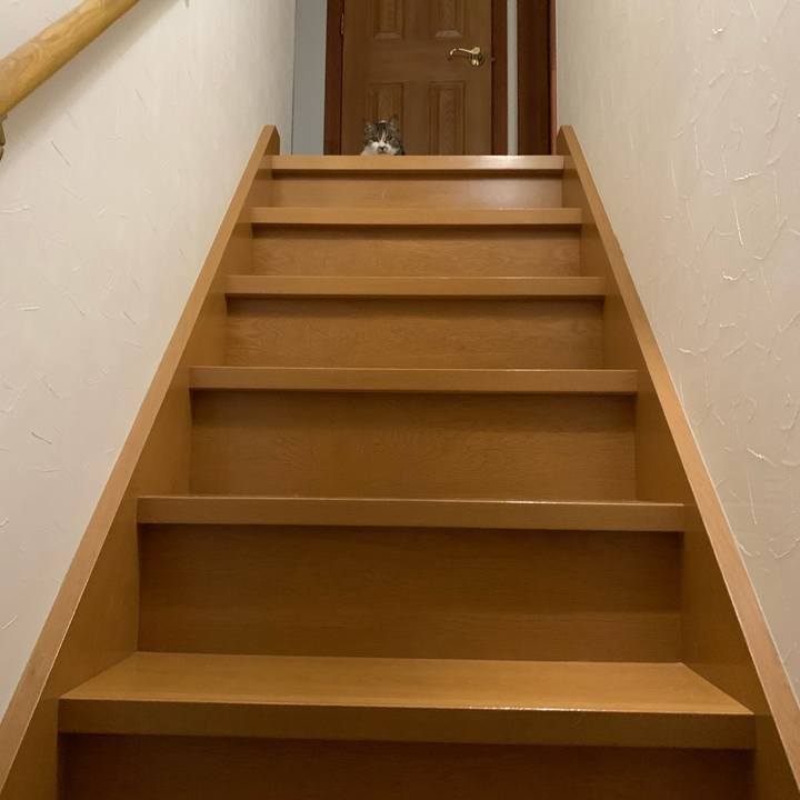 454771ba 6385 4330 b42d fec01b4028f7 1588190844203