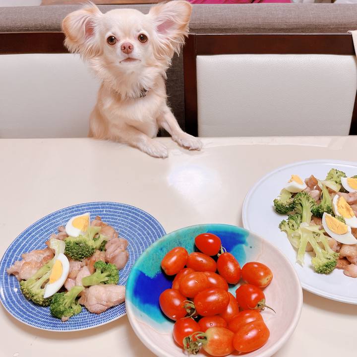 45477ac5 6d48 4d97 baaa 0f9ded9dc65d 1658382070006