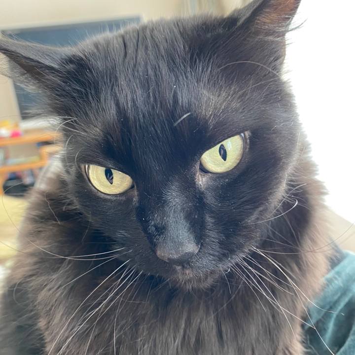 45478da2 21d1 484f 990e 67e0d83e3e8a 1613006987893