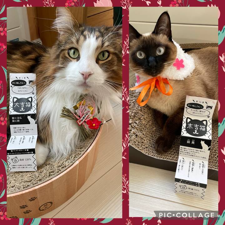 4547b6e2 8468 42c4 b66a 6d467f6e8f74 1736065287698