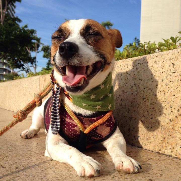 4547d958 5a5e 432d be42 73d102c12f6e 1659480415165