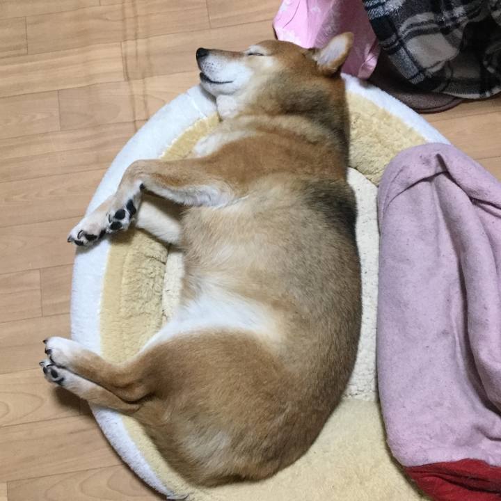 454823cf 1e4d 45a6 a766 543340bb12f9 1585313426628