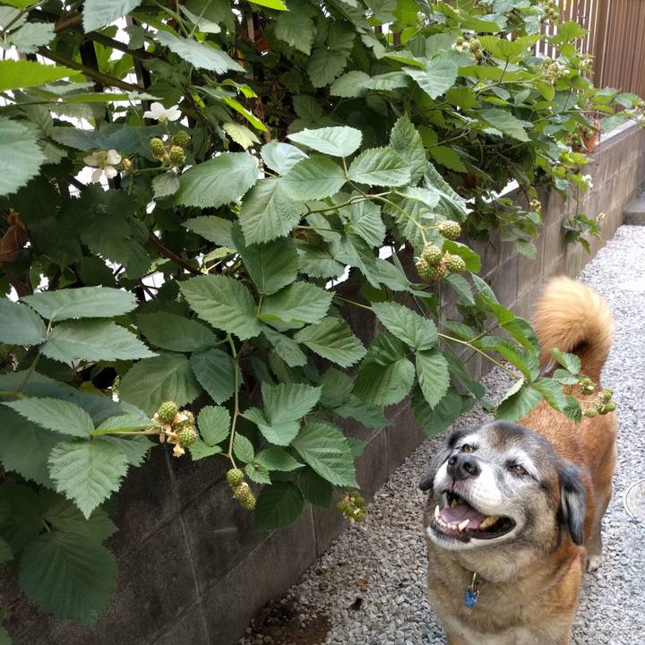 45484aa6 4a6c 4f17 afb5 1f5b4e7e7378 1528072009974