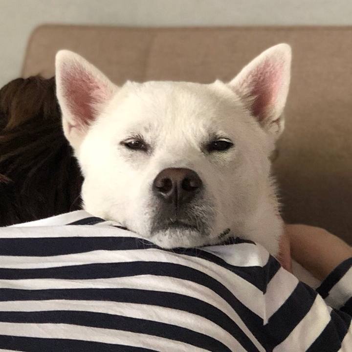 45487990 ace3 413a bf10 6b1063921189 1554719147316