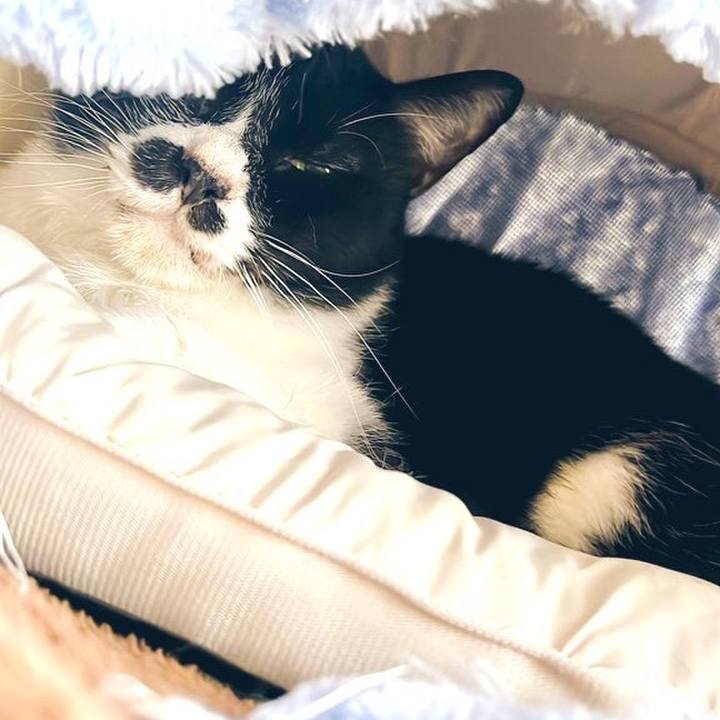 45487ec8 6f51 4d79 9687 aaf592508bfc 1665592555058