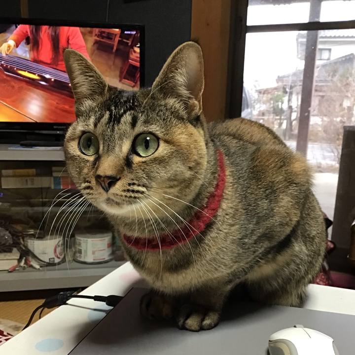 4548905b cf35 4e76 a92f c61540978207 1611361261211