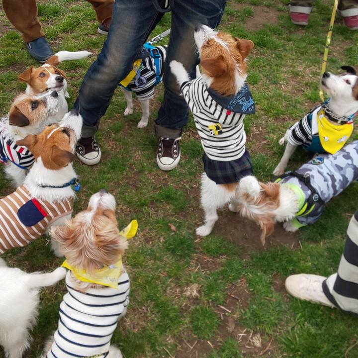 4548b49c e13b 413a bc36 246e07b391f9 1552221156192