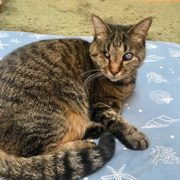 4548c67e 5004 4cc1 8972 b3ebe157bc10 1585547171858