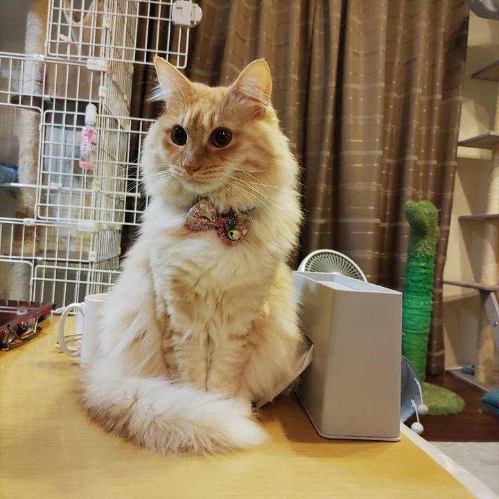 4548f5c0 d52c 4df3 8a0b 5f210f1bb323 1669035156352