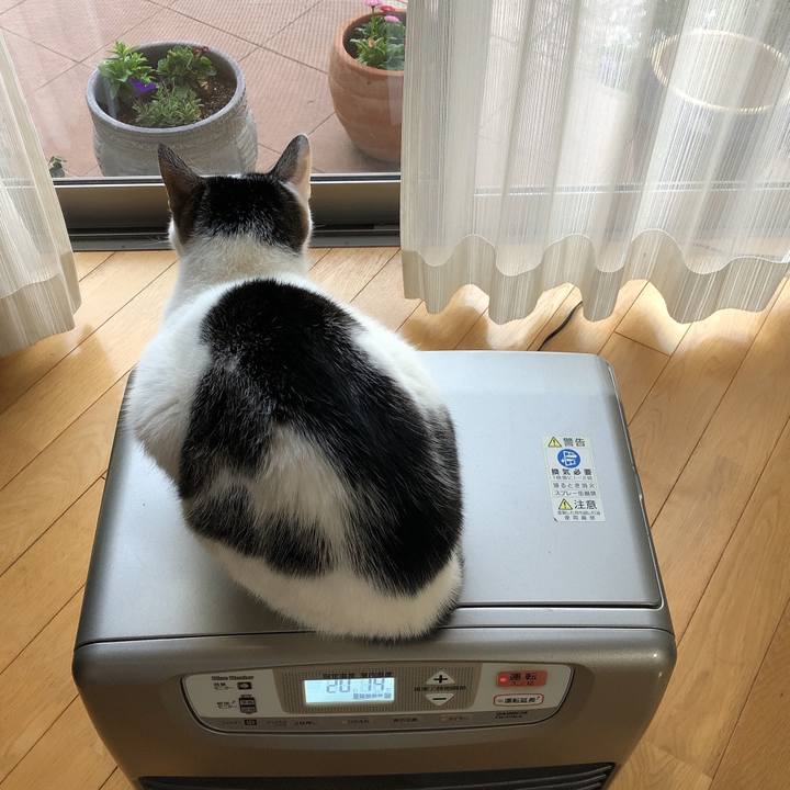 4548f93d 2f0c 4c3c 99d4 5b97f7668d90 1616449906872