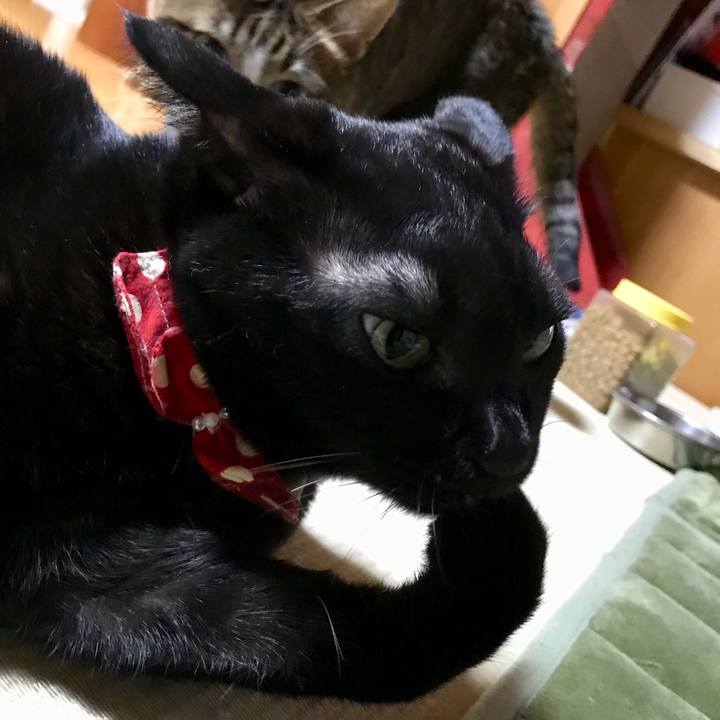 45498bd0 1a92 4547 b377 eb10f11ff93f 1510145344135