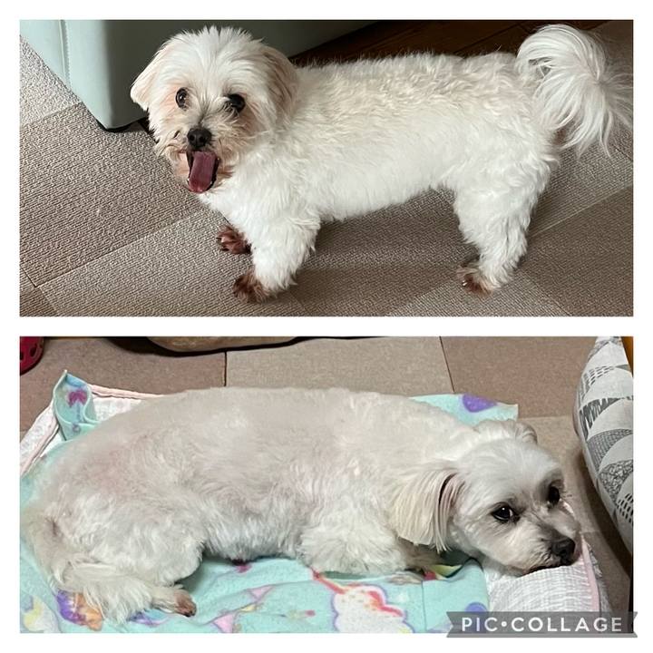 4549c560 829d 44c3 a6ae 16b31577a59a 1665130762382