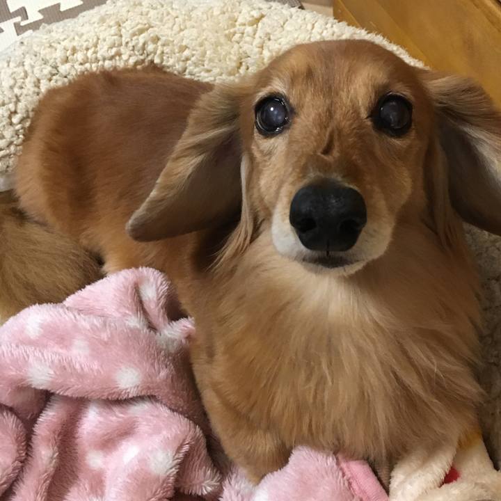 4549dcf8 5a1f 419f 9cca 46fe2bd941d5 1608470120053