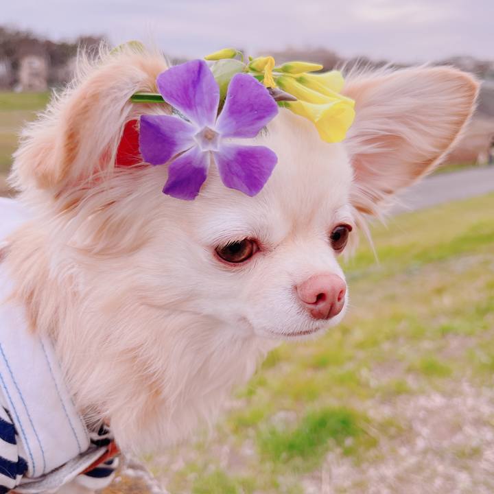 454a1071 3948 473f 9f50 f2854bf6c5f4 1677664183192