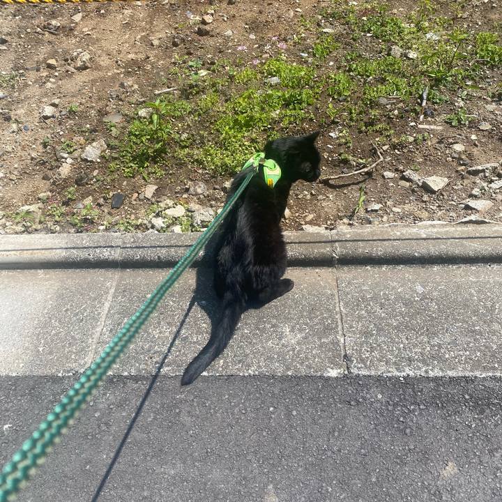 454a10fa f775 47e8 adfe 689eb30f0b70 1748752347291