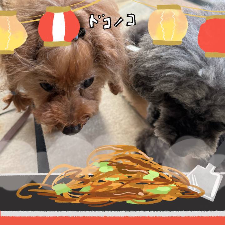 454a2b6a 9a12 499f 8366 3cf74b97130c 1755212529845