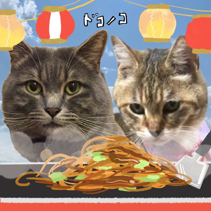 454a6b4d 7c38 4939 8980 f2c5fc28b4d8 1755345234235