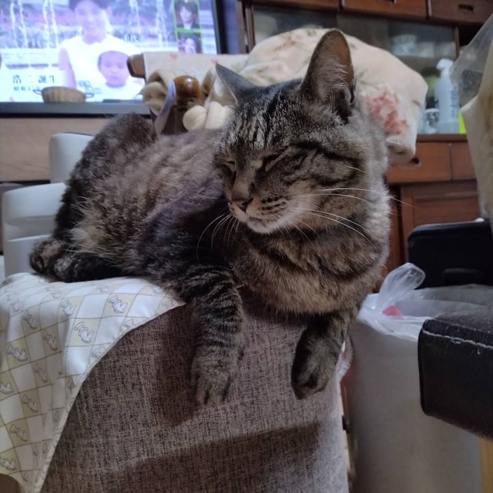 454a71b6 27e5 4346 b9b6 c4e4e43dcc16 1721081364534