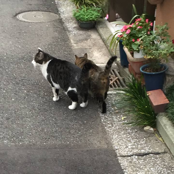 454a8f88 63a1 4a9d b59c 58cdfa92aaaf 1511648288488