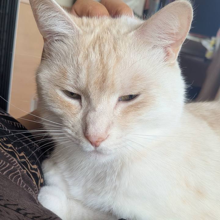 454a9c16 e802 4099 9855 0c90743dc318 1753508290725