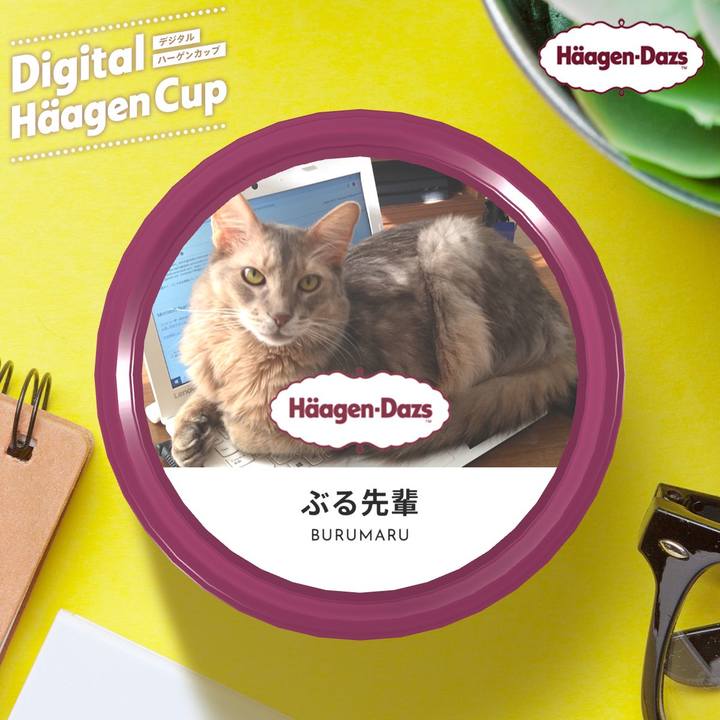 454aab9b 3a34 4fe5 9049 b581217610f2 1607511763614