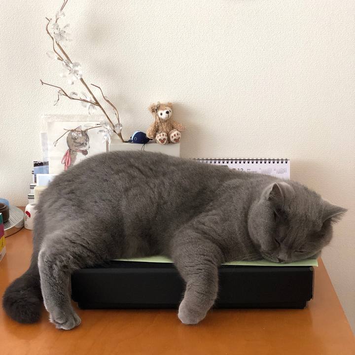 454abb3c 54c7 449e a6bf 8fae1cf0782c 1545870962198